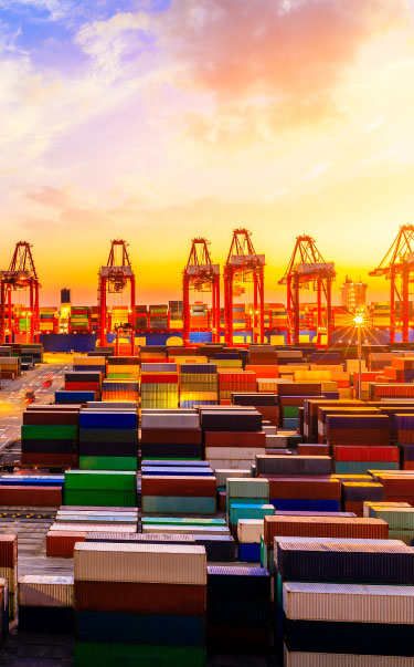 jafza offshore company formation uae